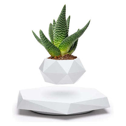 Levitating Air Bonsai Pot Flower Pot Planters Magnetic Suspension Floating Pot Potted Plant Home without Plants Rotation