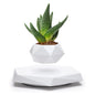 Levitating Air Bonsai Pot Flower Pot Planters Magnetic Suspension Floating Pot Potted Plant Home without Plants Rotation