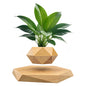 Levitating Air Bonsai Pot Flower Pot Planters Magnetic Suspension Floating Pot Potted Plant Home without Plants Rotation