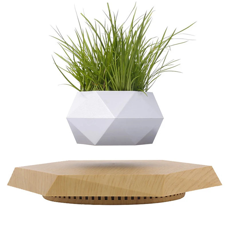Levitating Air Bonsai Pot Flower Pot Planters Magnetic Suspension Floating Pot Potted Plant Home without Plants Rotation